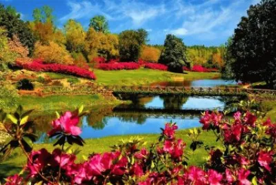 Floral Pond jigsaw puzzle