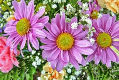 Margaritas jigsaw puzzle