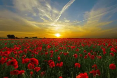 Sundown