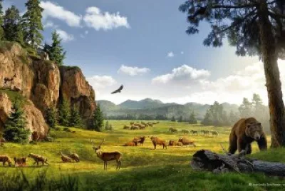 PAISAJE DE NORTEAMERICA