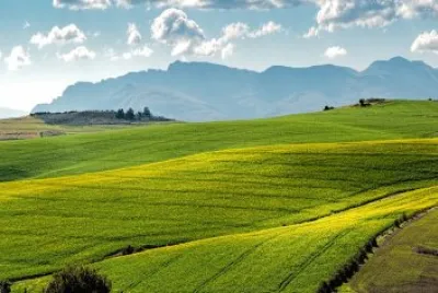 campo