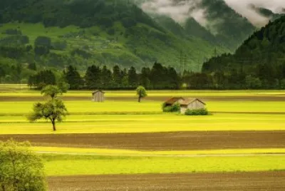 campo