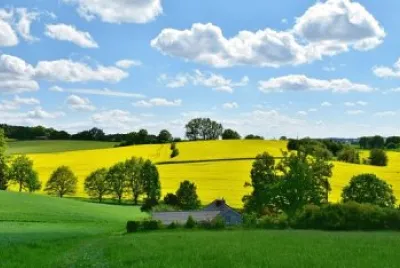 campo