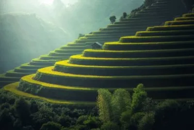 PlantaÃ§Ã£o de Arroz