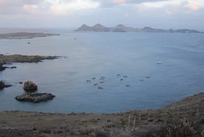 Islas San Benito
