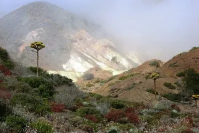 Neblina en la sierra