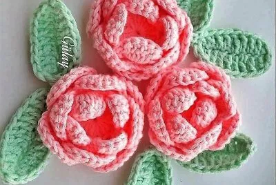 flores