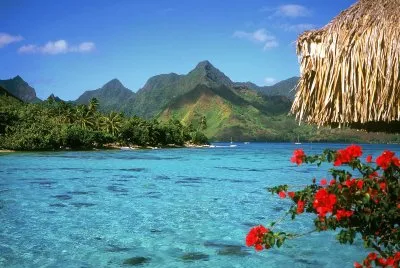 polynesia
