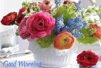 flores