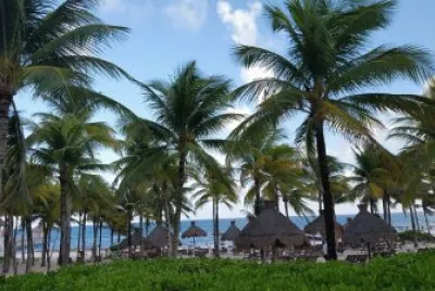 palmeral