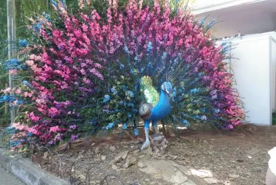 FLORES