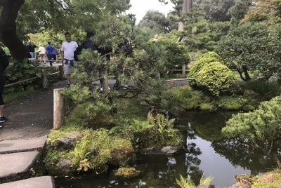 Japanese Teaâ€™s garden