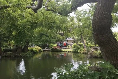 Japanese Teaâ€™s garden