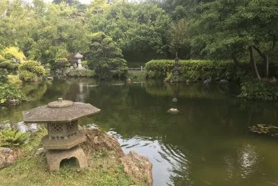 Japanese Teaâ€™s garden