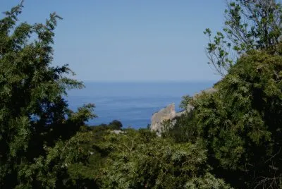 mariemonti
