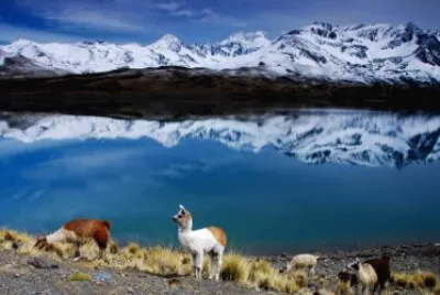 Paisaje Boliviano