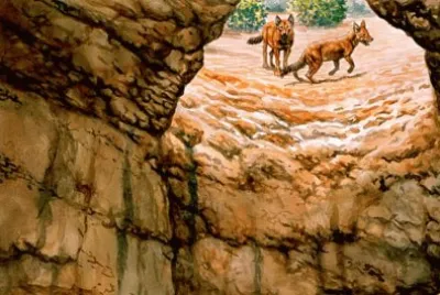 COYOTES jigsaw puzzle