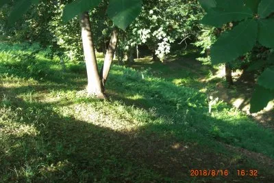 PARCO BELLONE