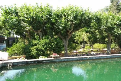 jardines