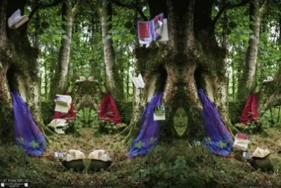 Flying Books of the forest