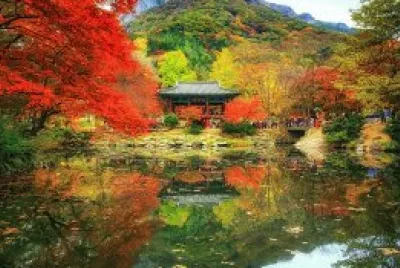 lago