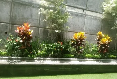 jardÃ­n