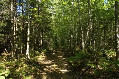 Riding the woods trails    L