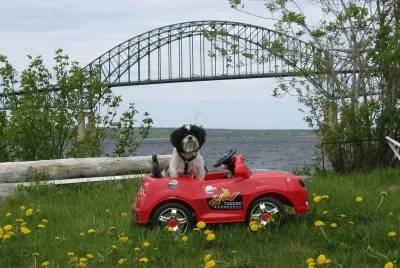  "Camaro Sue " by Centennial Bridge