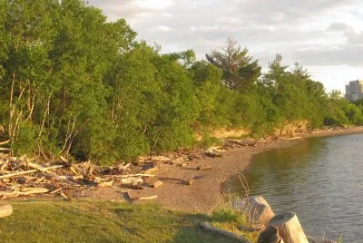 The shoreline of our favourite riverside spot