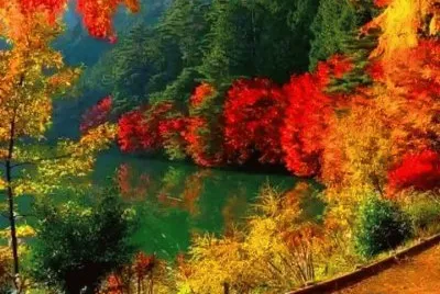 imagem jigsaw puzzle
