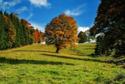 Paisagem jigsaw puzzle
