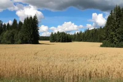 Finlandia