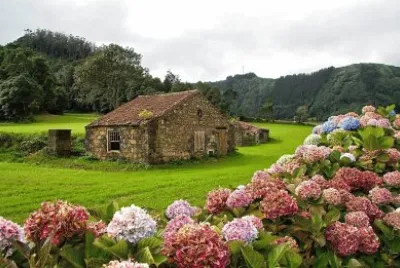 imagem jigsaw puzzle