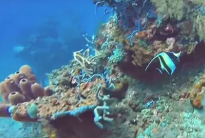 Bali Snorkeling