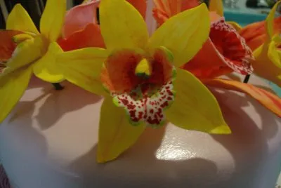 flores