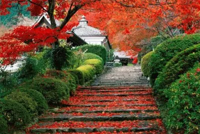 paisaje hermoso