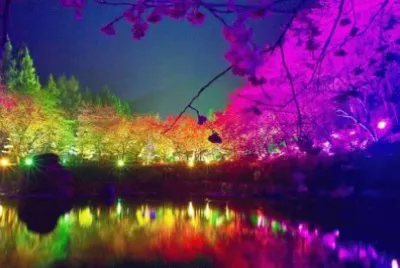 פאזל של colorido