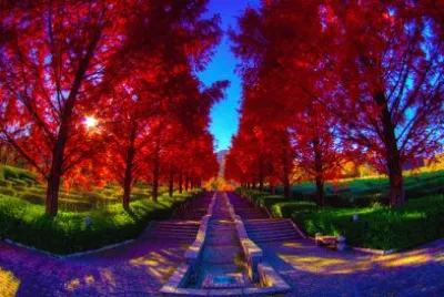 paisaje hermoso