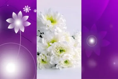 é›™èŠ±åœ–