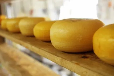 queijo