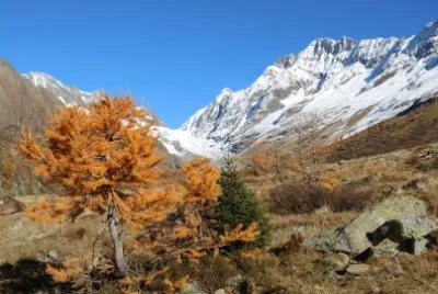LÃ¶tschental jigsaw puzzle