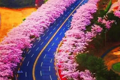 imagem jigsaw puzzle