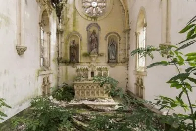 Nature Reclaimed