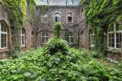 Nature Reclaimed 2 jigsaw puzzle