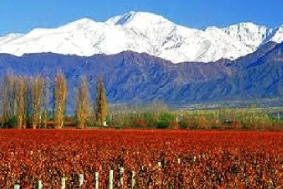 mendoza argentina jigsaw puzzle