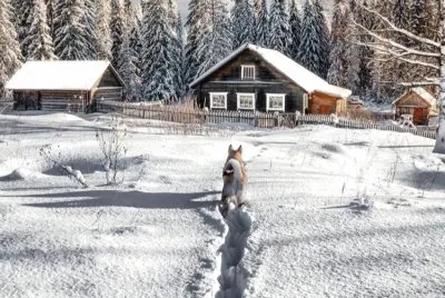 imagem jigsaw puzzle