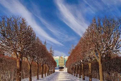 imagem jigsaw puzzle
