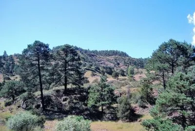 Sierra Tarahumara, MÃ©xico.