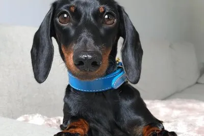 â™¥â™¥â™¥
