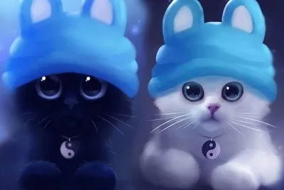 פאזל של Hermosos gatitos